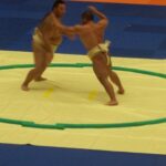 pabellon_044_sumo