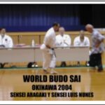 worldbudosai20045